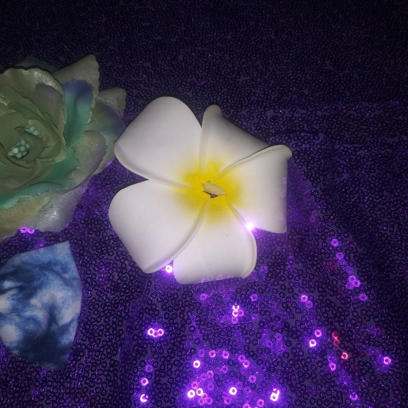 Nwot Lot of 3 hair clips - Picture 5 of 8